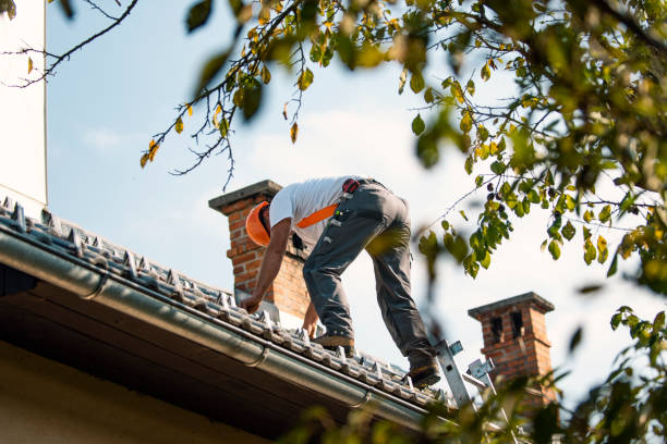 Best Roof Moss and Algae Removal  in Tainter Lake, WI