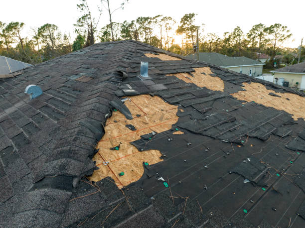 Best Roof Leak Repair  in Tainter Lake, WI